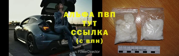 стаф Володарск