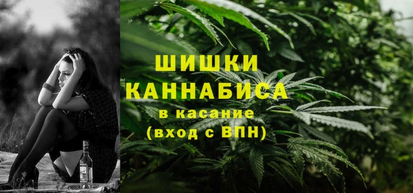 стаф Володарск